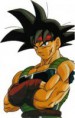 Bardock: